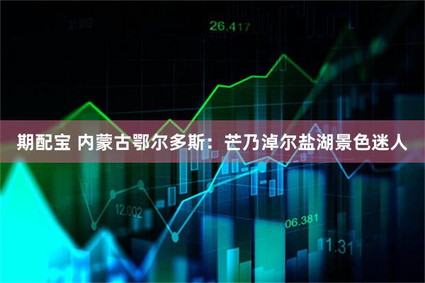 期配宝 内蒙古鄂尔多斯：芒乃淖尔盐湖景色迷人