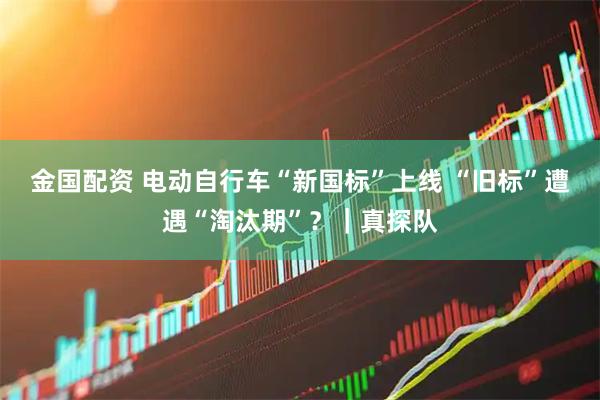 金国配资 电动自行车“新国标”上线 “旧标”遭遇“淘汰期”？｜真探队