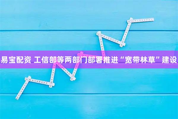 易宝配资 工信部等两部门部署推进“宽带林草”建设