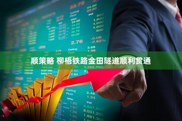 顺策略 柳梧铁路金田隧道顺利贯通