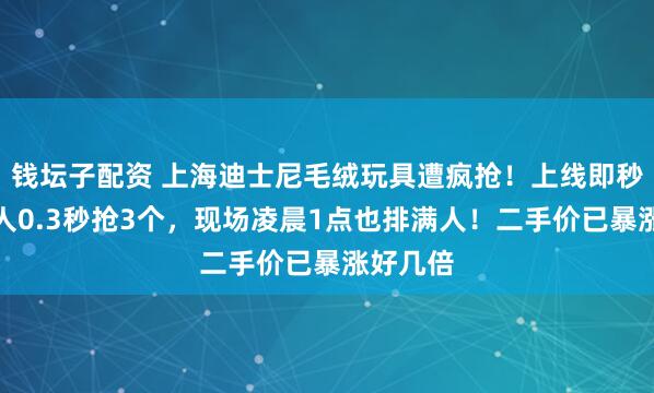 钱坛子配资 上海迪士尼毛绒玩具遭疯抢！上线即秒光，有人0.3秒抢3个，现场凌晨1点也排满人！二手价已暴涨好几倍